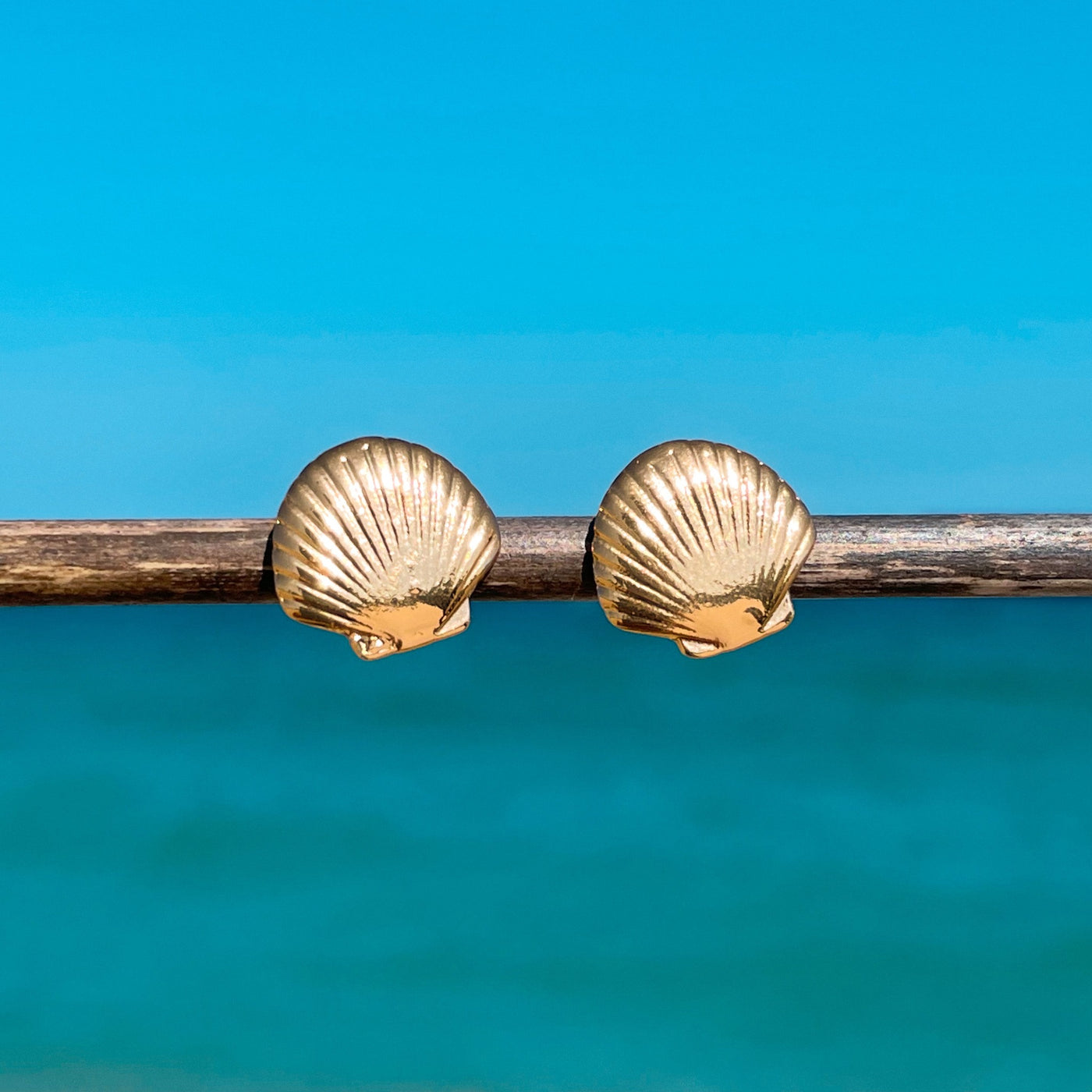 Dainty Fan Shell Stud Earrings