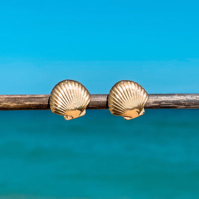 Dainty Fan Shell Stud Earrings