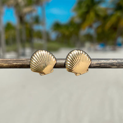Dainty Fan Shell Stud Earrings