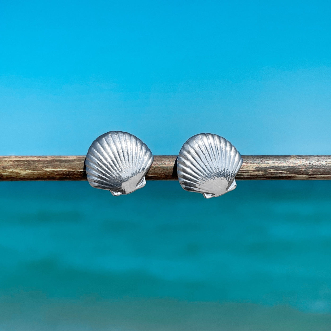Dainty Fan Shell Stud Earrings