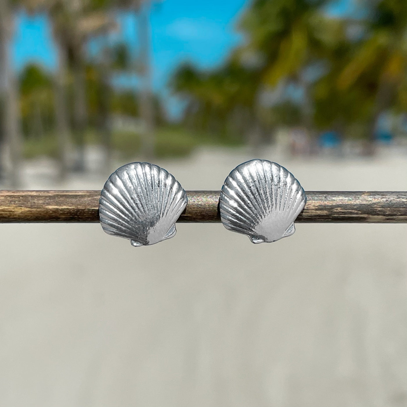 Dainty Fan Shell Stud Earrings