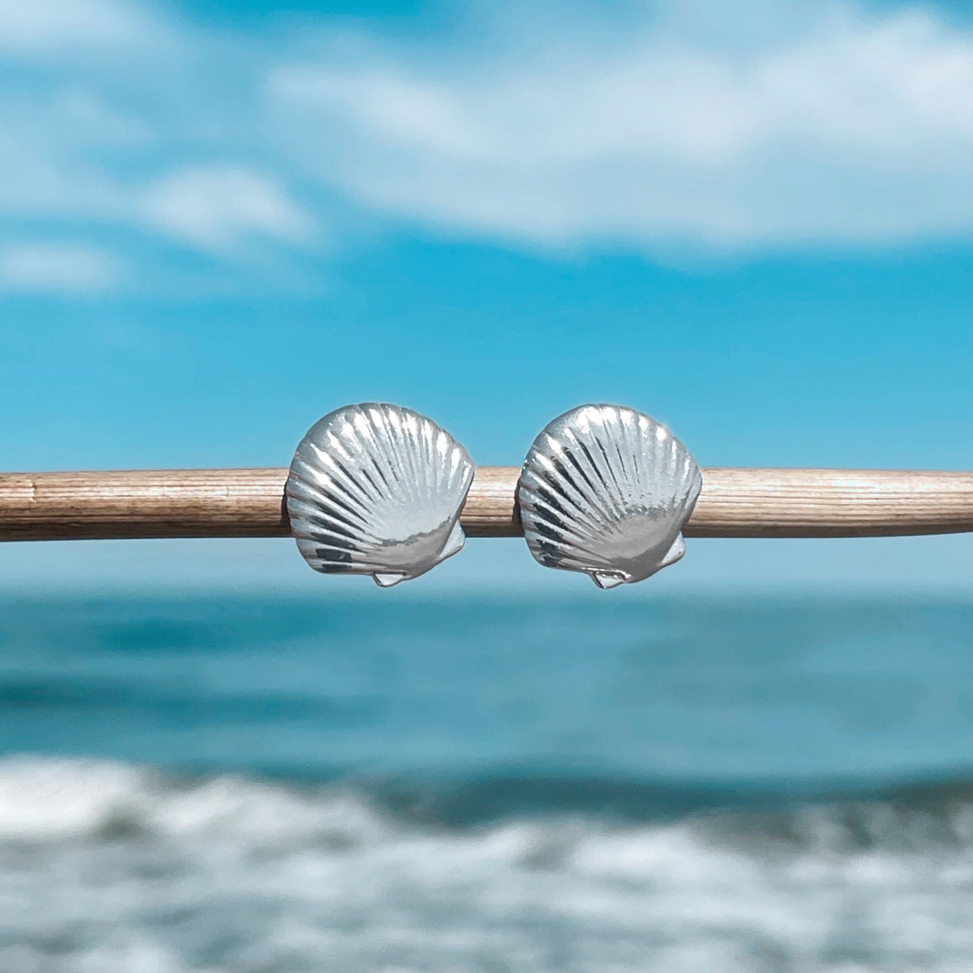 Dainty Fan Shell Stud Earrings - Silver