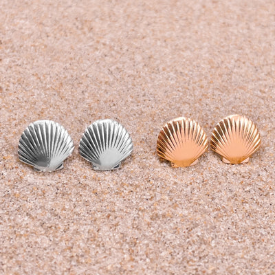 Dainty Fan Shell Stud Earrings Set