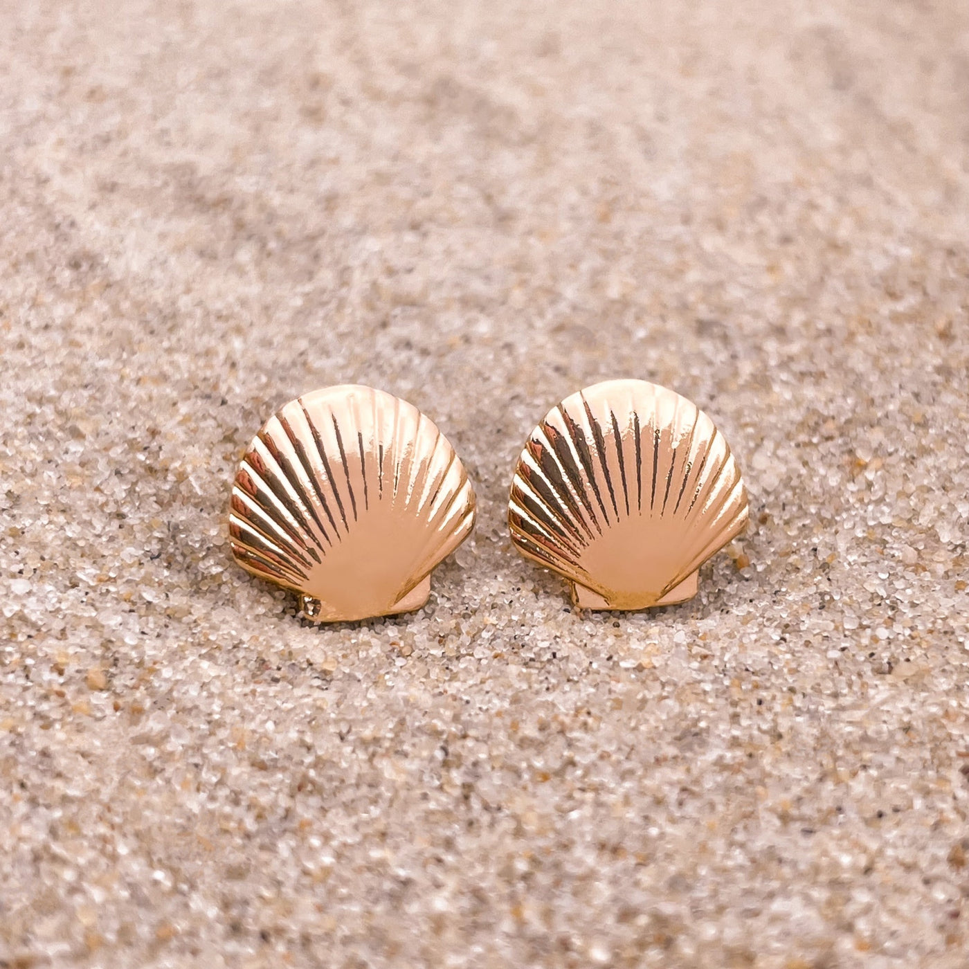 Dainty Fan Shell Stud Earrings - Gold