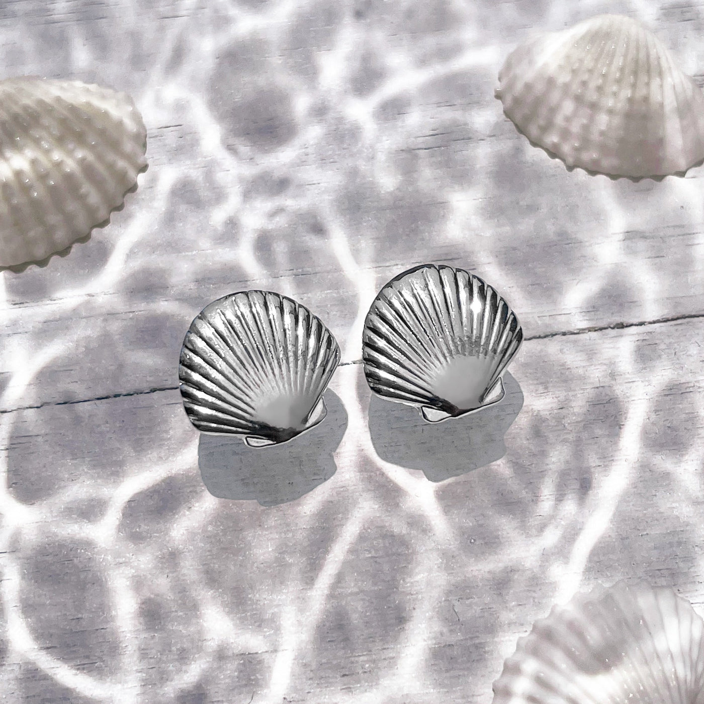 Dainty Fan Shell Stud Earrings - Silver