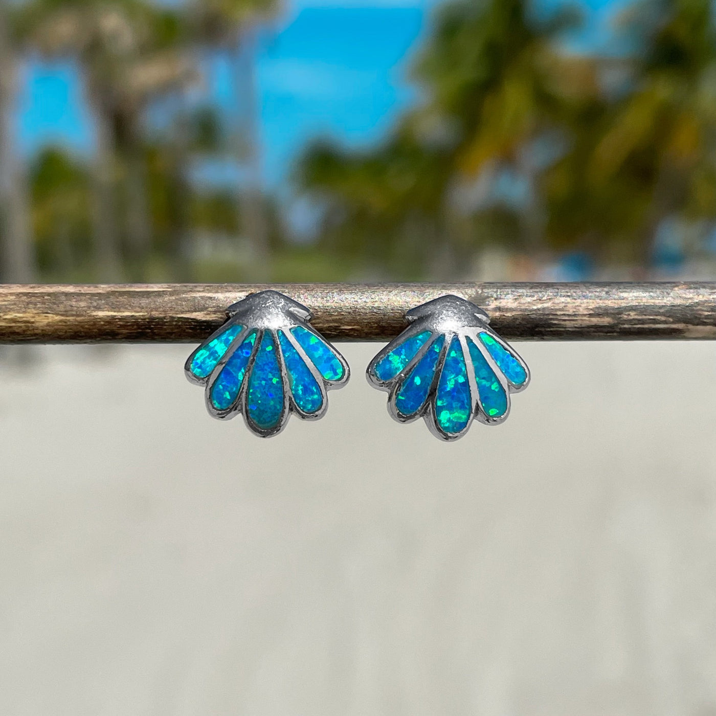 Opal Shell Stud Earrings
